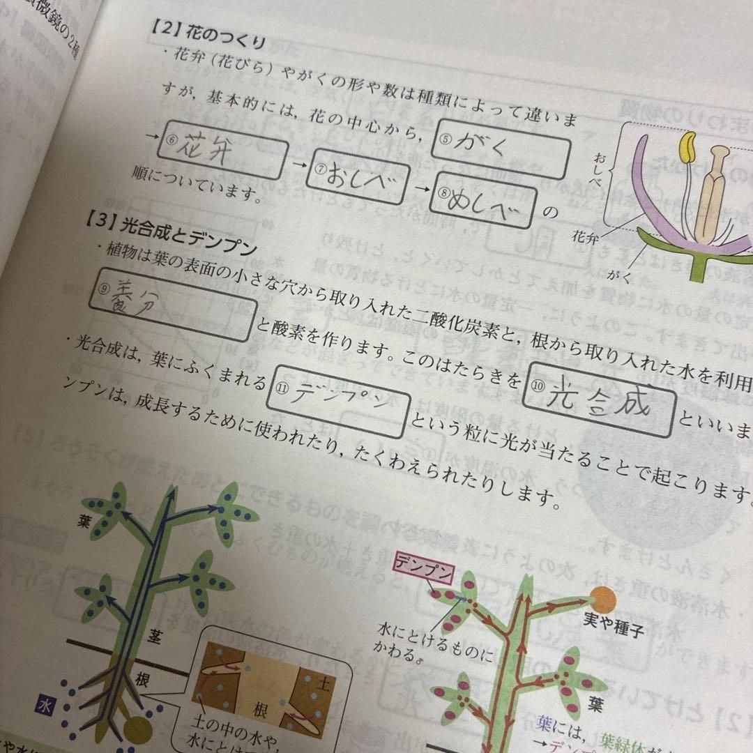 Z会　中1 中2 テキスト　定期テスト攻略ワーク　要点ブック　Zstudy