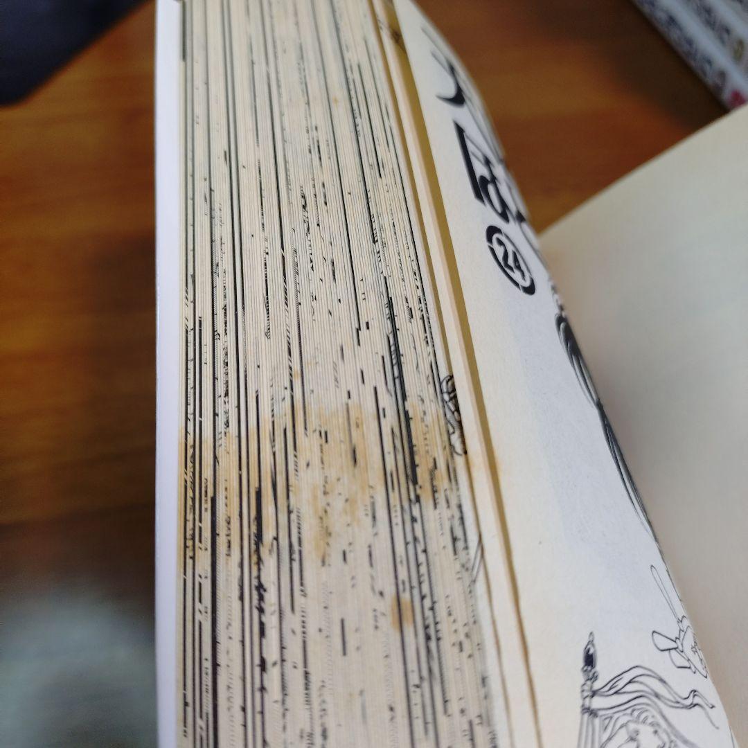 天は赤い河のほとり 全28巻 全巻 セット【24巻以外初版】