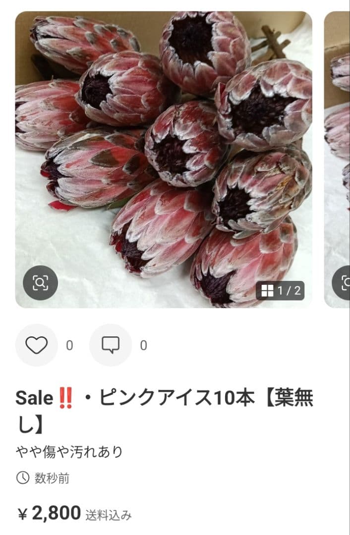 Sale‼️・ピンクアイス10本【葉無し】❗️他同梱多数❗️