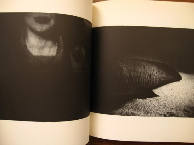 アンタイトルド・シティスケイプ (The Untitled Cityscape)