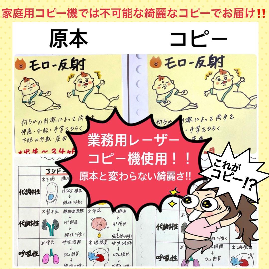 激安!! 看護師国家試験まとめノート 付箋ノート 国試 解剖生理学 看護学生