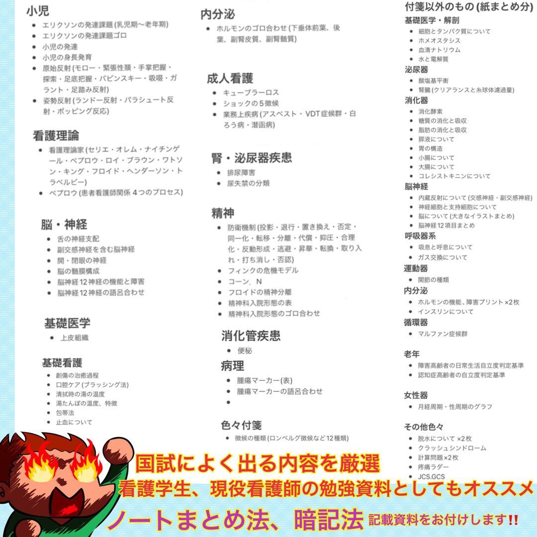 激安!! 看護師国家試験まとめノート 付箋ノート 国試 解剖生理学 看護学生