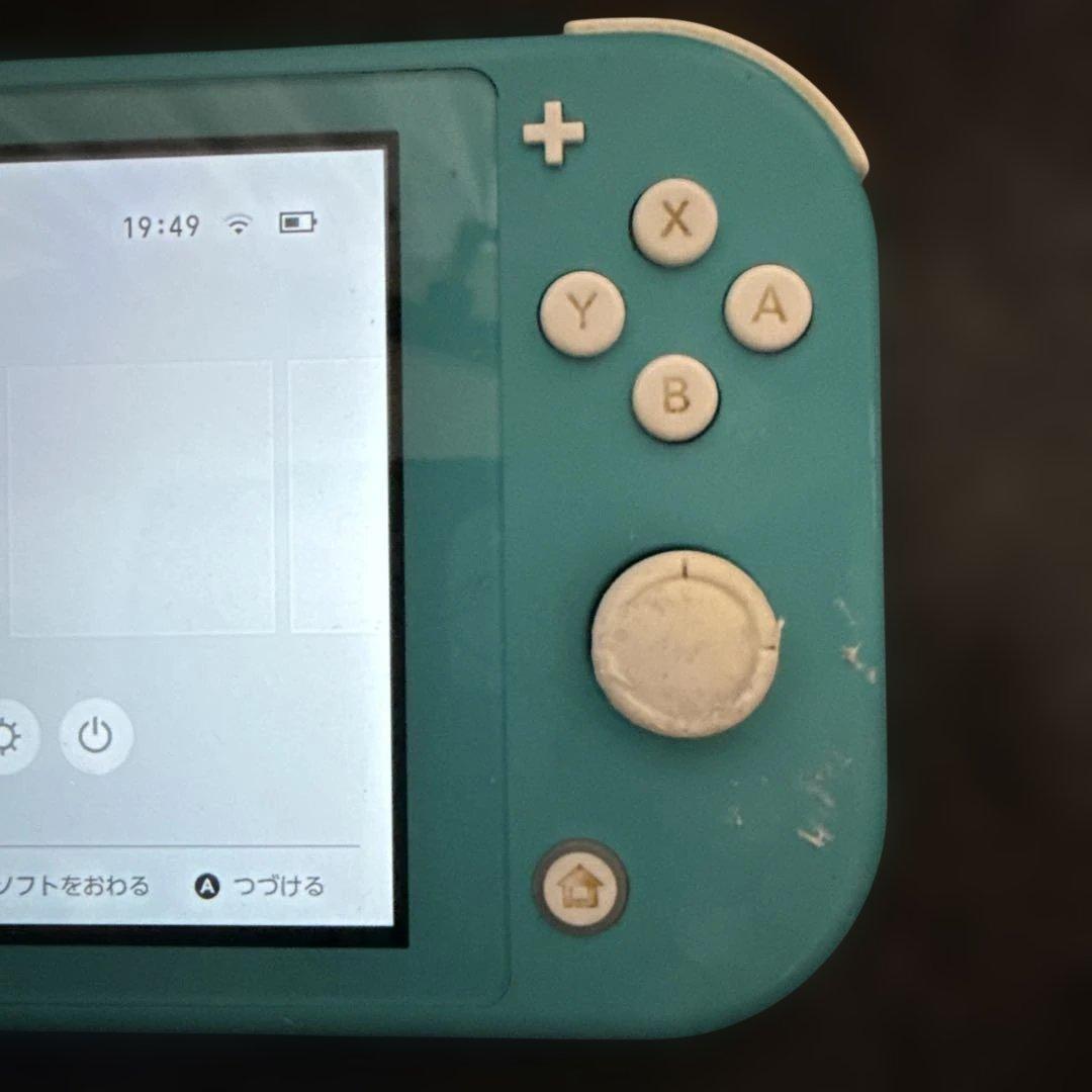 Switchライト　本体のみ