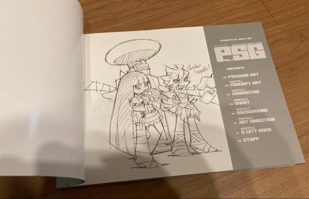 The Art of PSG Vol. 2 パンティー＆ストッキングvol.2