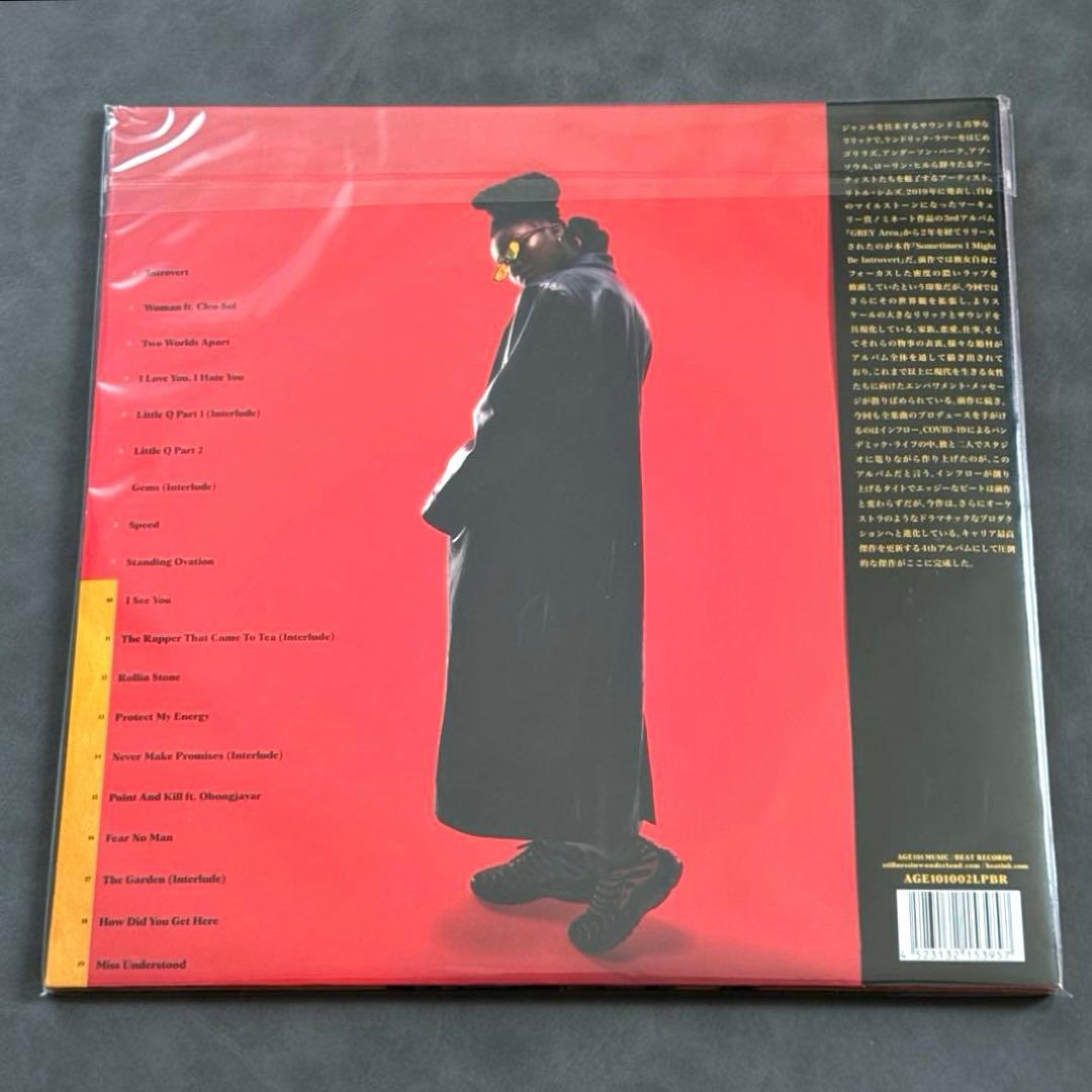 Little Simz - Sometimes【アナログレコード】新品未開封