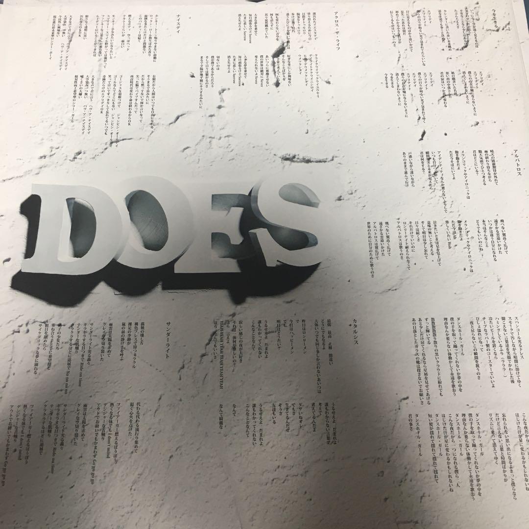 貴重レコード　DOES/katharsivilization