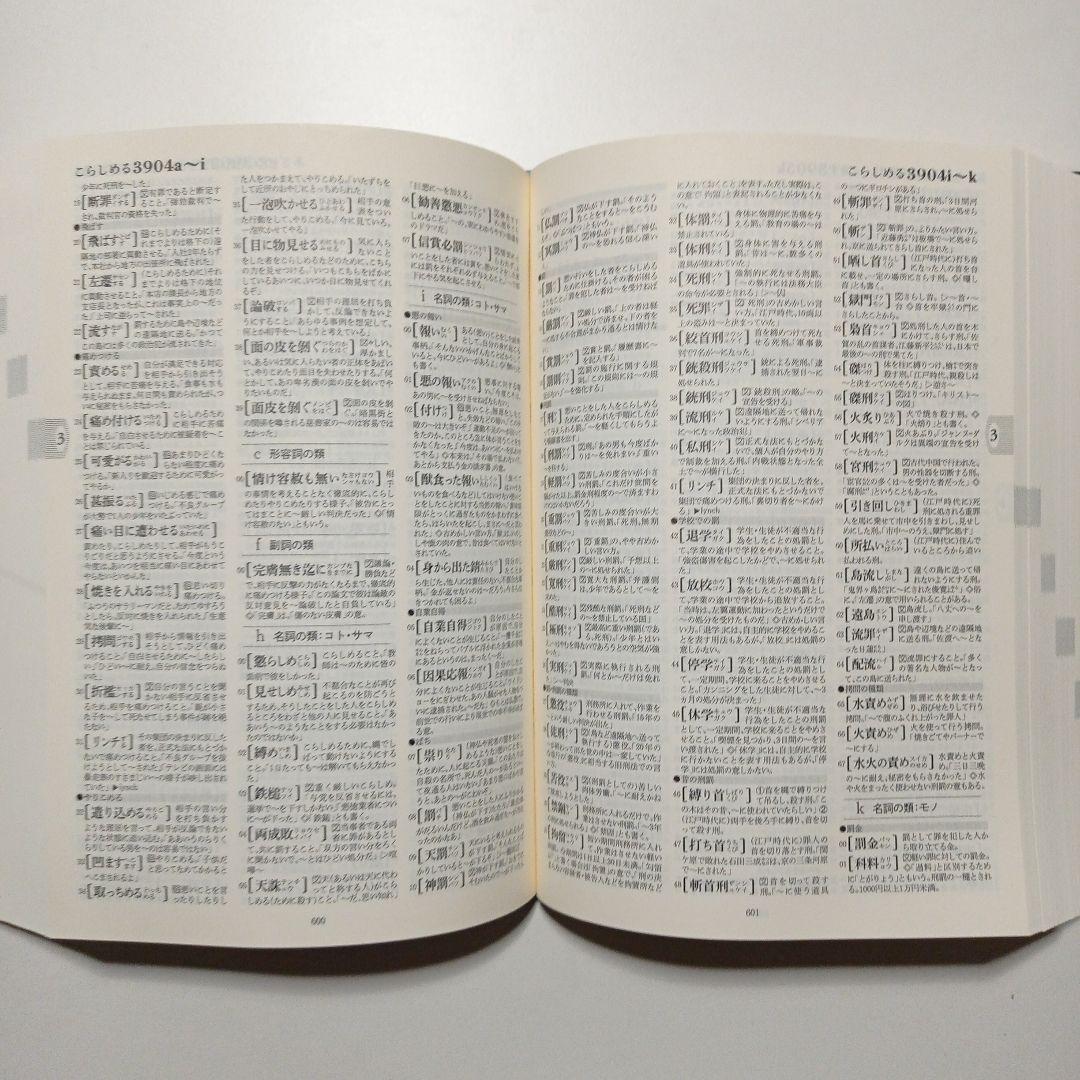 辞典・辞書 5点まとめて ステッドマン医学大辞典 類語大辞典他