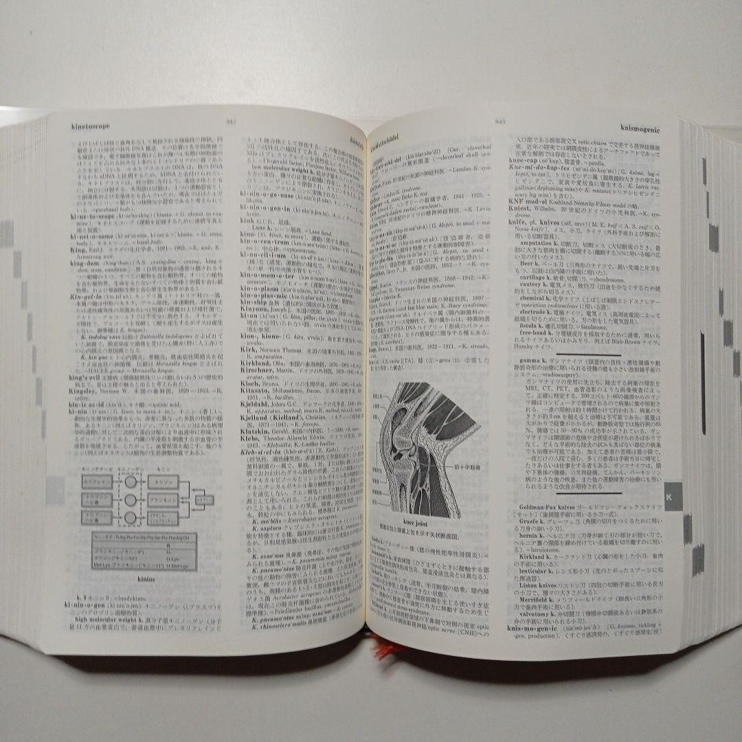 辞典・辞書 5点まとめて ステッドマン医学大辞典 類語大辞典他