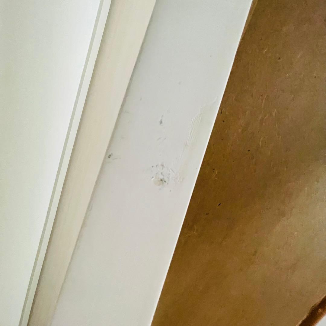 吉川ひなの リュバンシュ 全身鏡 姿見