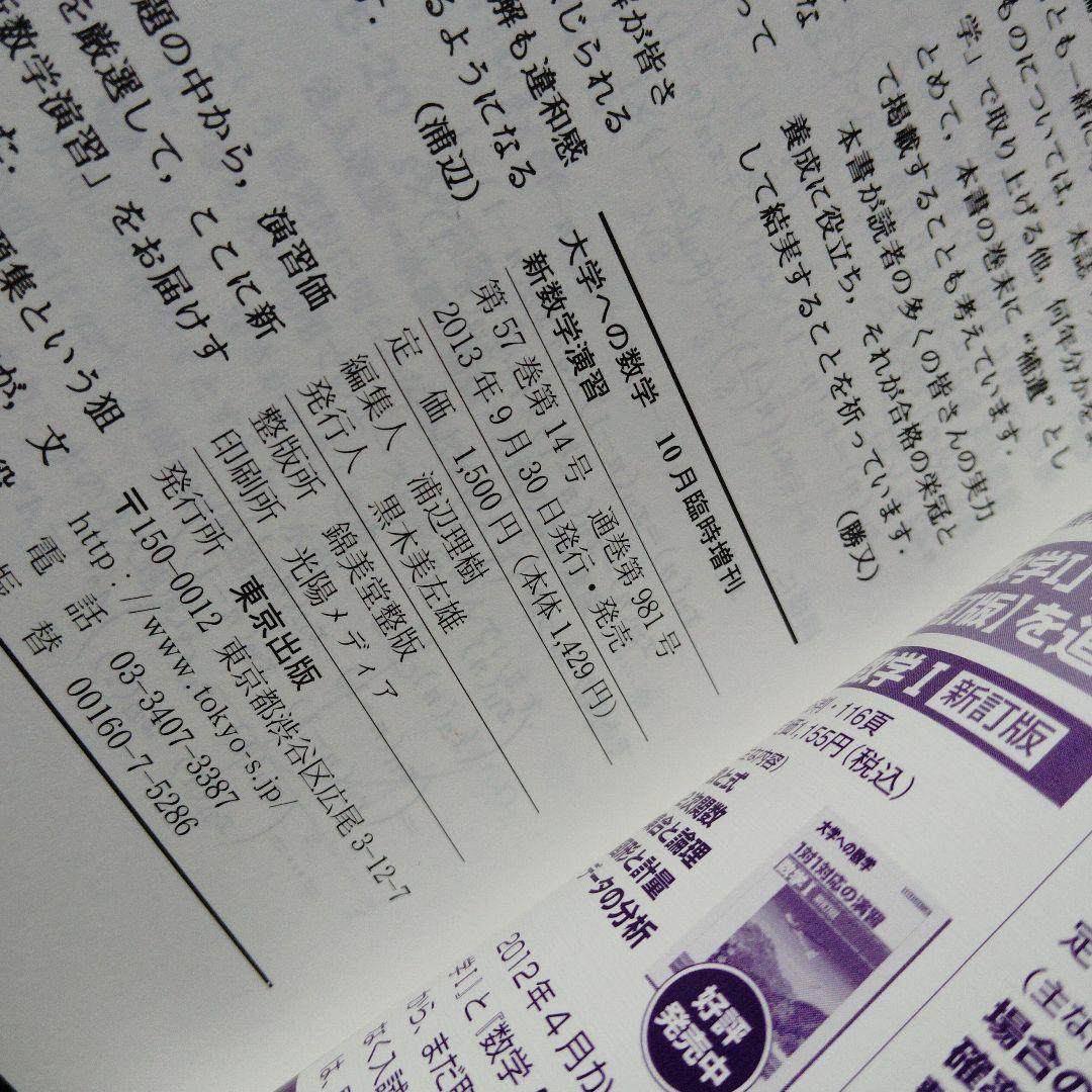 旧版　レア　大学への数学 新数学演習 2013年　東京出版　大学受験　大学入試