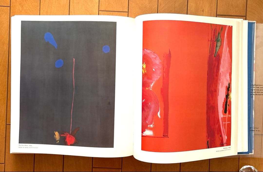 【稀少】Frankenthaler/ヘレン・フランケンサーラー 画集 作品集