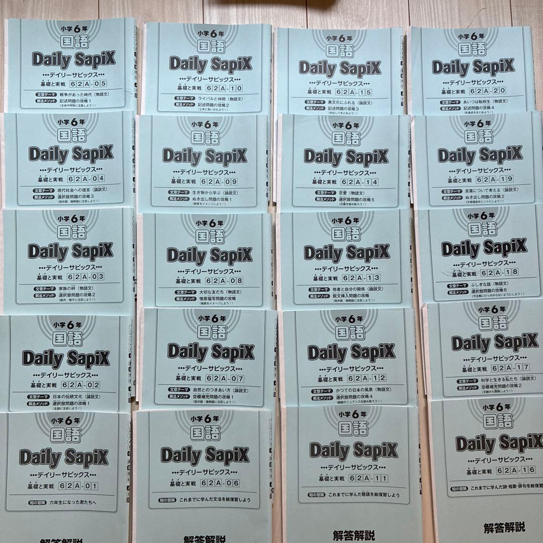 2025年受験組 サピックス6年 国語教材セット