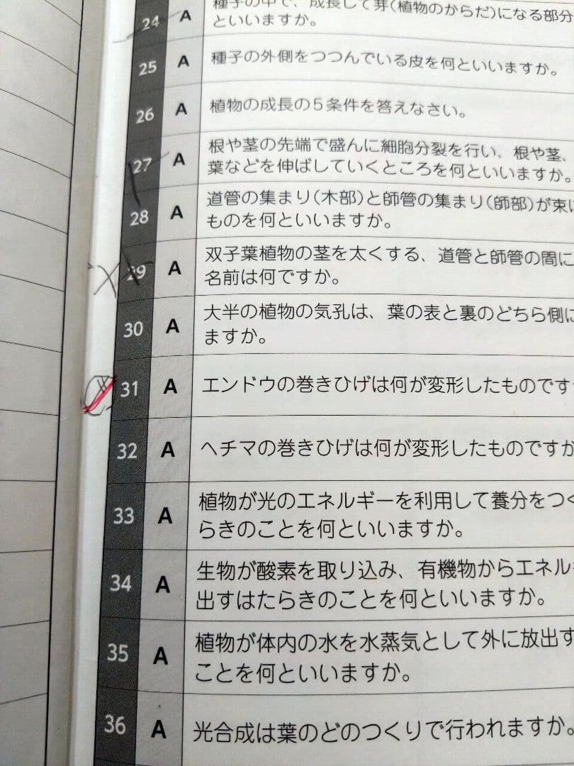 四谷大塚 予習シリーズ 5年 上下 算数 国語 理科 社会 まとめ売り 50冊