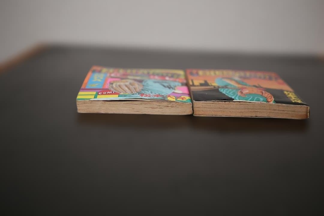 【初版全2巻】松本大洋『STRAIGHT（ストレート）』【激レア/要状態確認】