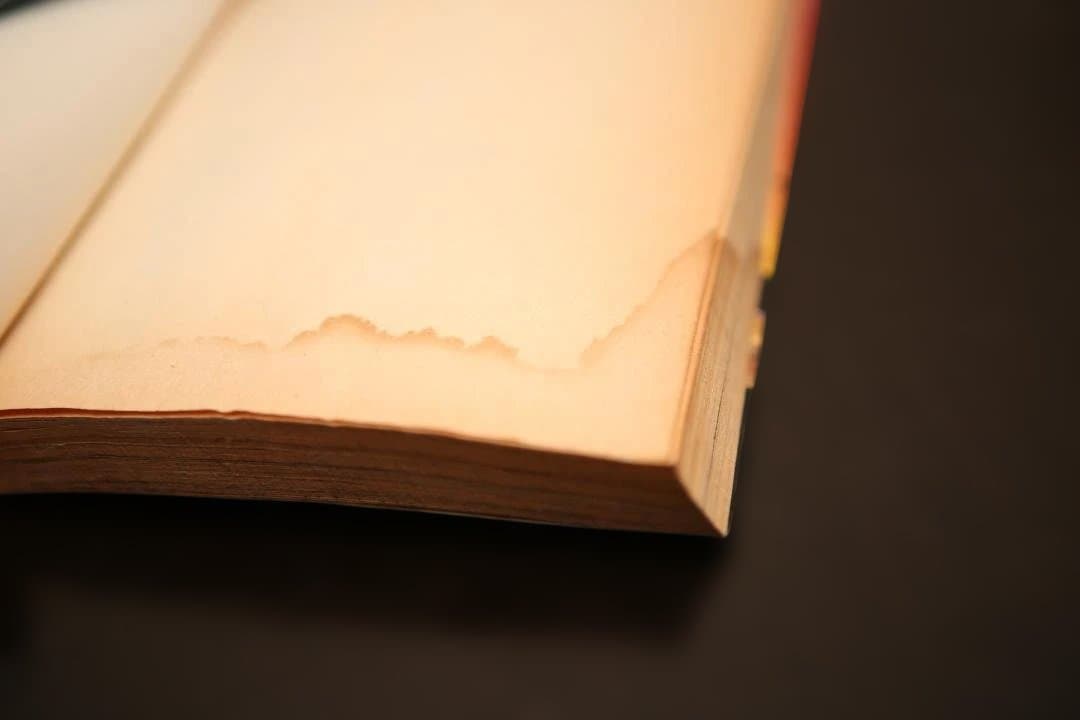 【初版全2巻】松本大洋『STRAIGHT（ストレート）』【激レア/要状態確認】