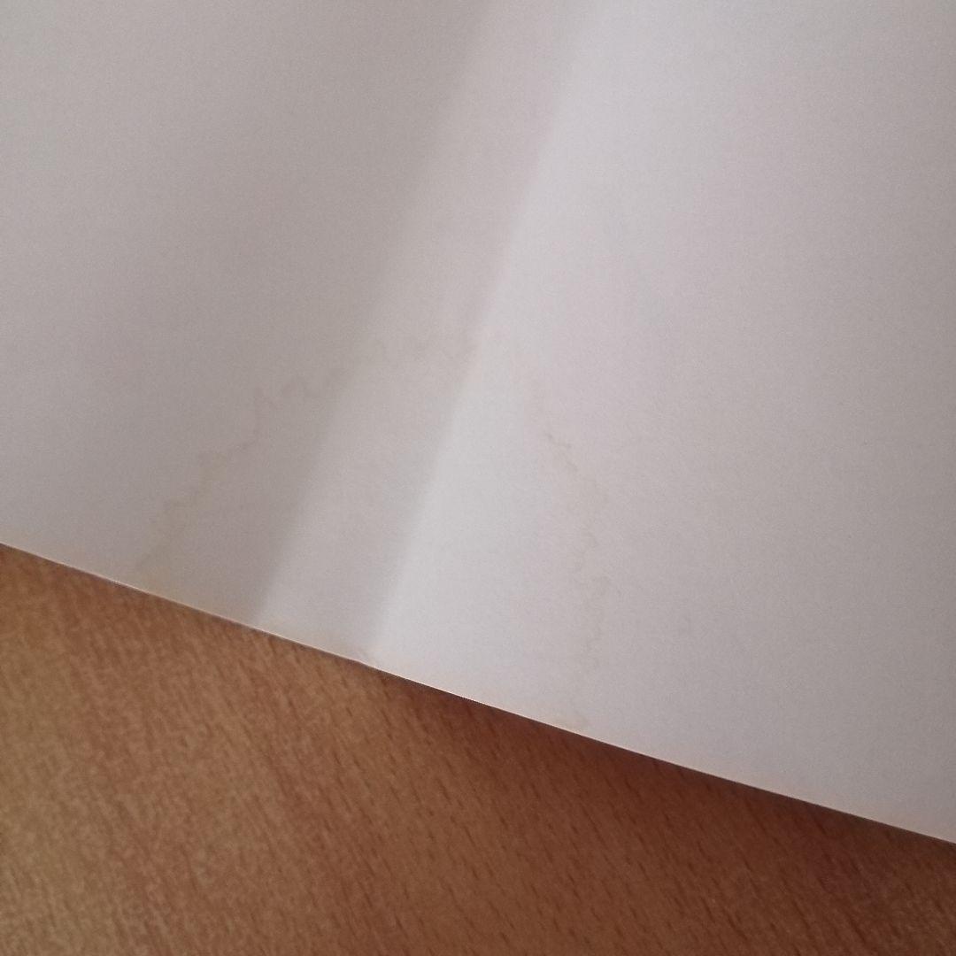 女王の花✦リョウ✦月のしっぽ✦ブラッディ✝メアリー✦バラッド✕オペラ まとめ売り