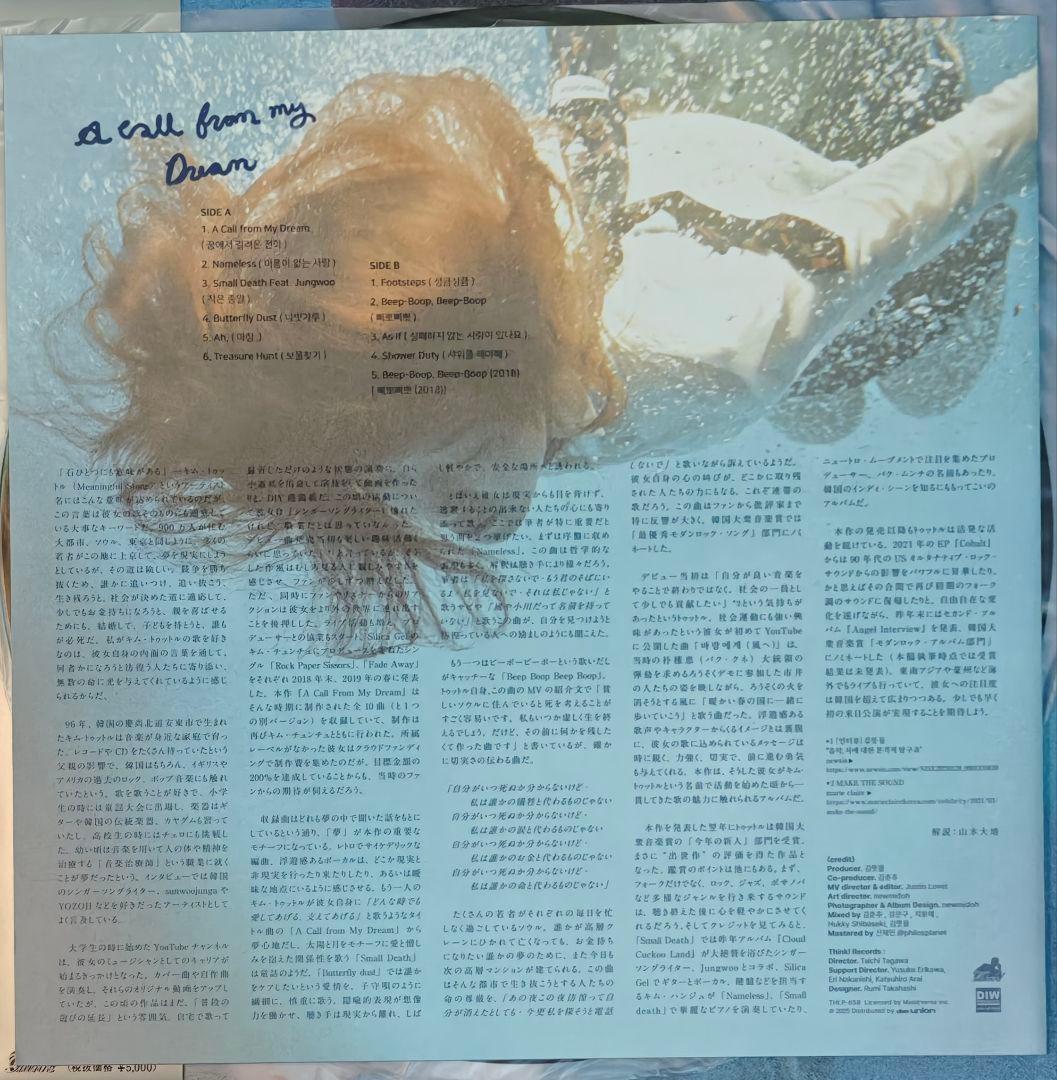 その他 Meaningful Stone A Call From My Dream LP