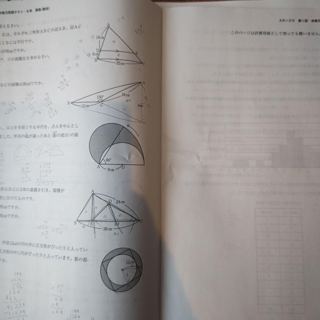 日能研合格力実践テスト総合　合格力ファイナル　2024年度6年生