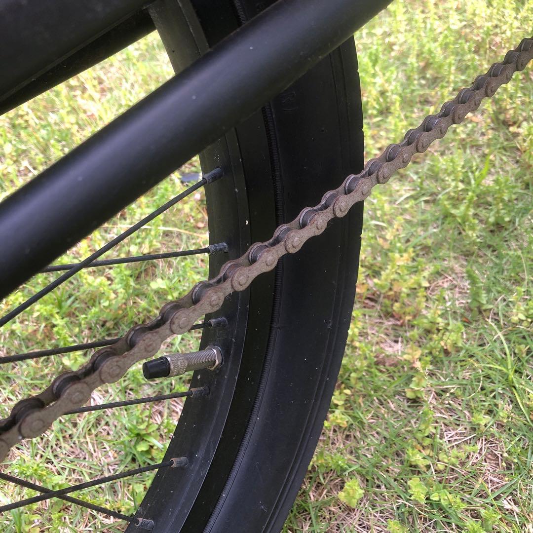 自転車本体 RAINBOW PCH101 20\"CRUISER HightRiser