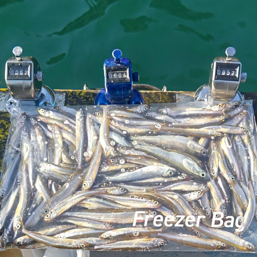 西湖ボートワカサギ用自作削り出しグラスソリッドロング穂先