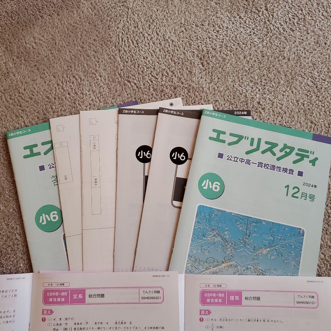 Z会 エブリスタディ 適性検査 小6 公立中高一貫
