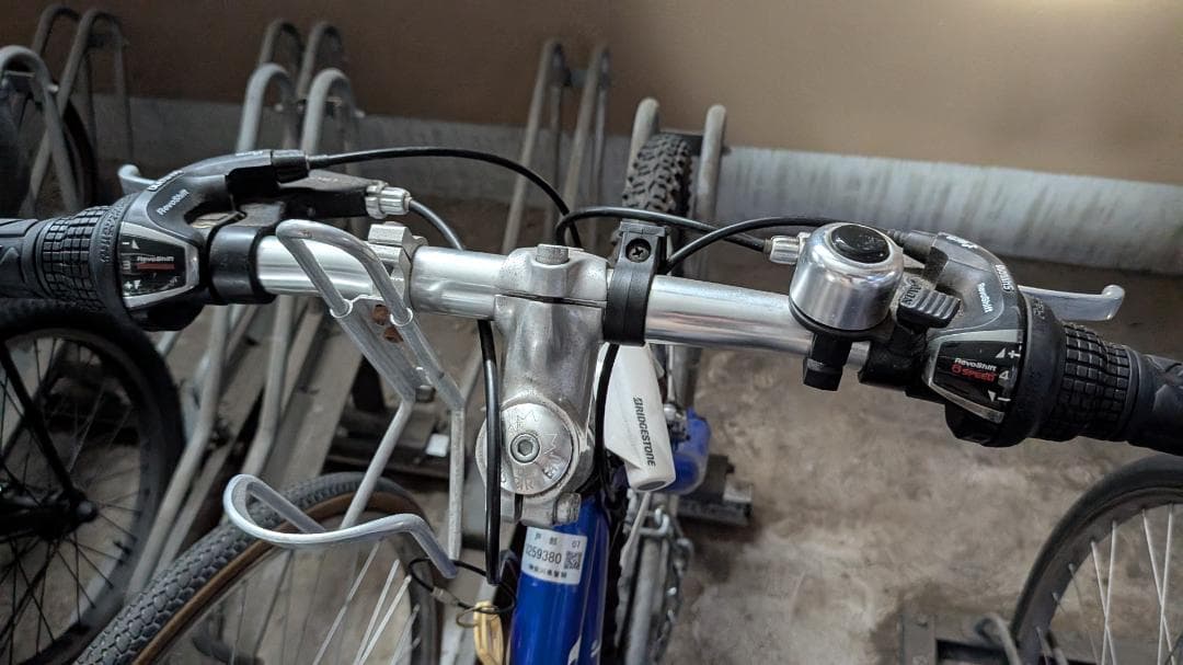 ルイガノ　キッズ向け