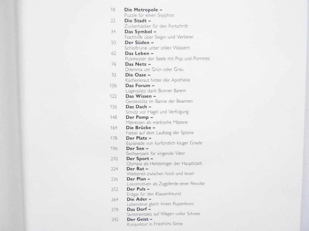 洋書◆上空から撮影したベルリン写真集 本 ドイツ 建築 風景 景色