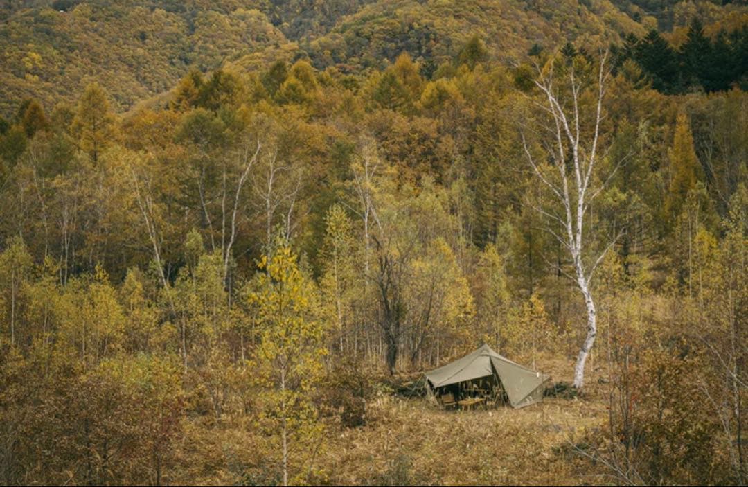 【新品/廃盤品】 ZANE ARTS ゼインアーツ GIGI-1 TC ギギ1