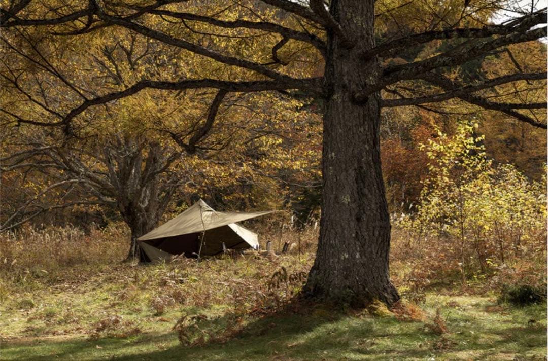 【新品/廃盤品】 ZANE ARTS ゼインアーツ GIGI-1 TC ギギ1