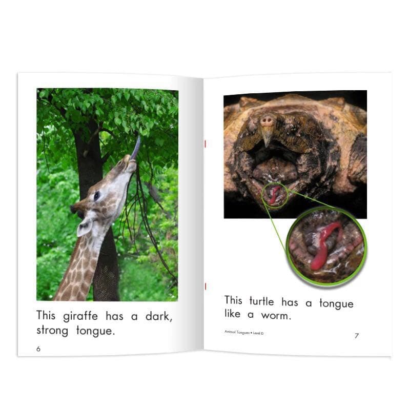 レベルD 英語教材39冊 音がでるデジタル絵本