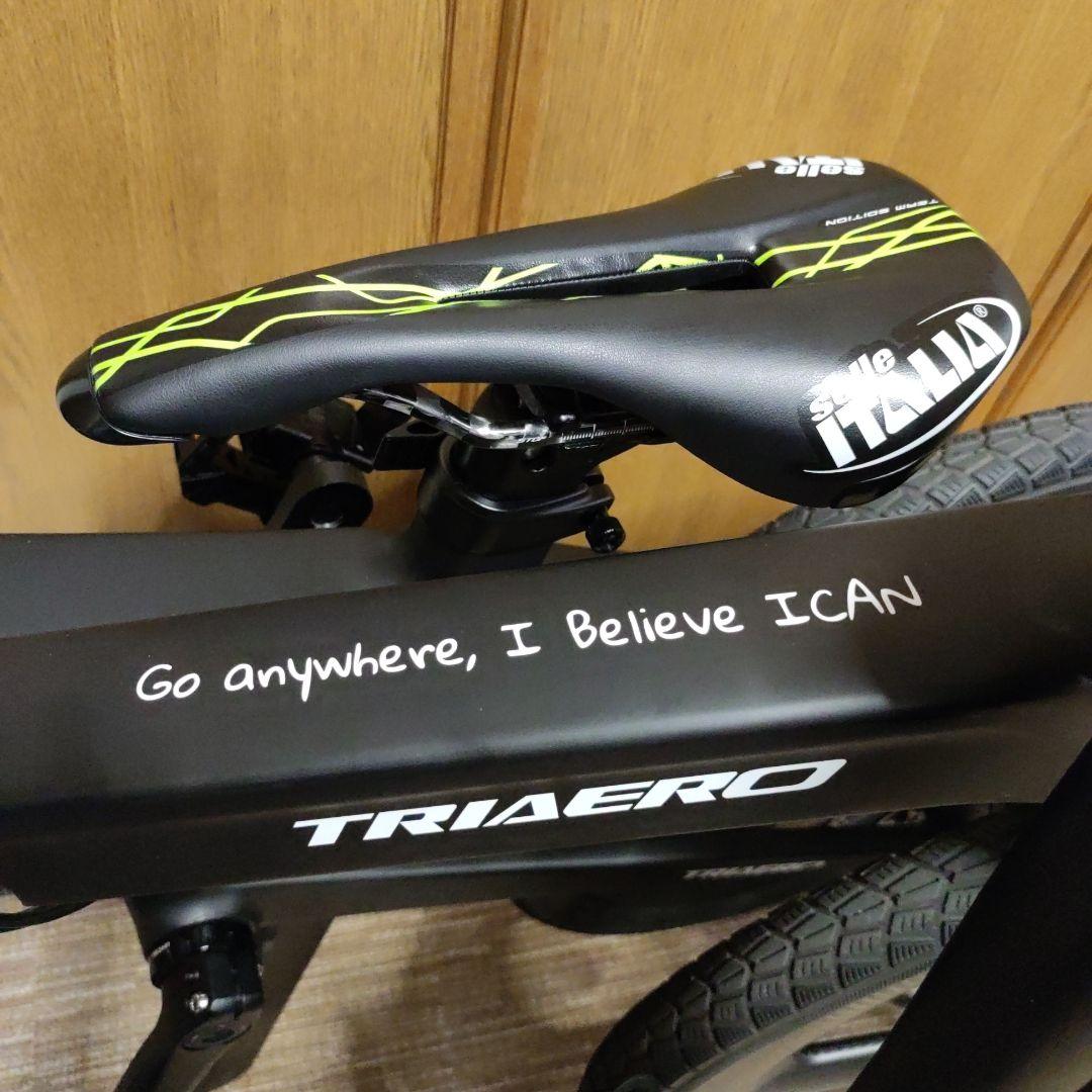 I CAN Ｆ1 折りたたみカーボンミニベロ マットブラック