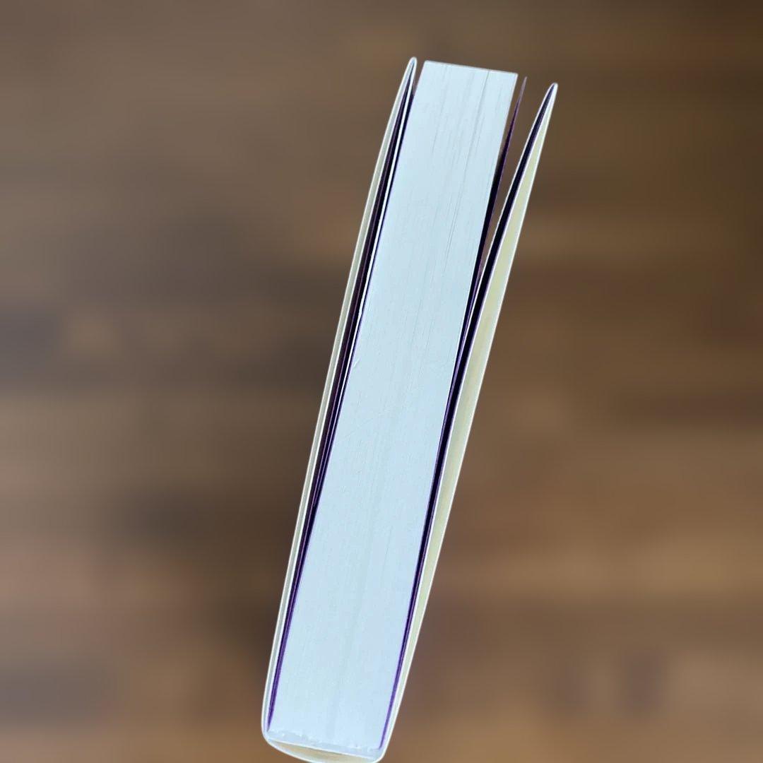 精解 神の詩 聖典バガヴァッド・ギーター 2 森井啓二