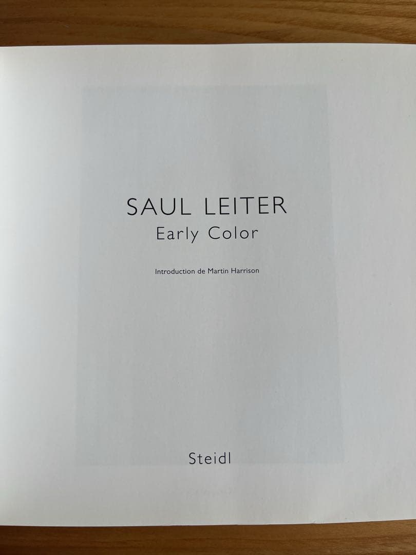 Saul Leiter ソールライターEarly Color 写真集　仏語版