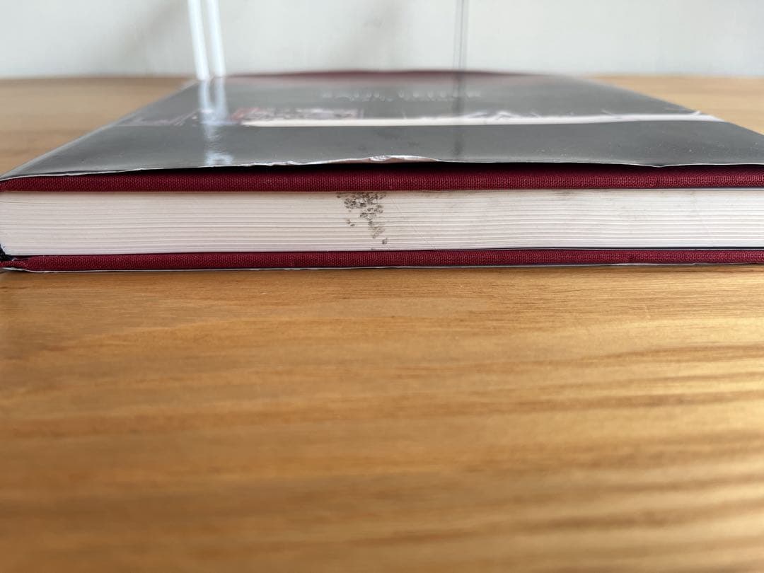 Saul Leiter ソールライターEarly Color 写真集　仏語版