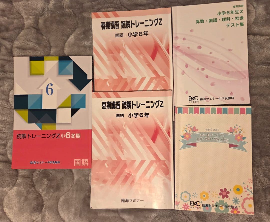 【2025年度版臨海セミナー 公立中高一貫校6Z 14冊セット♥】