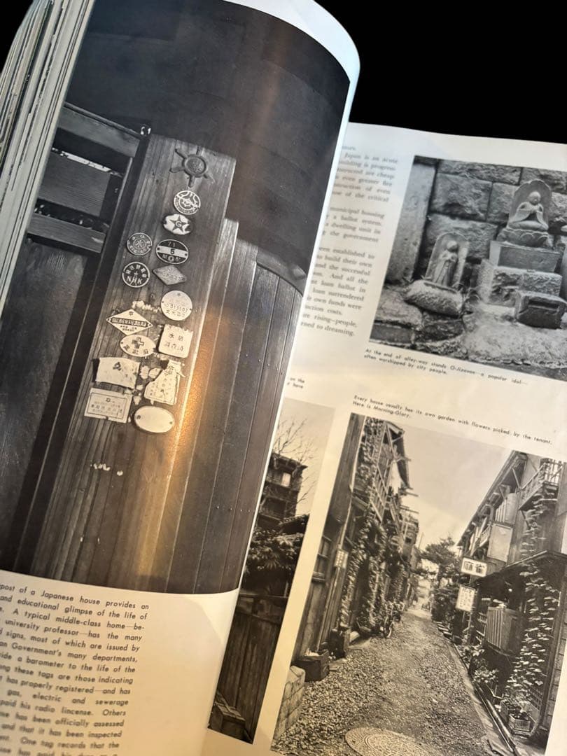 This is Japan No.1 1954 表紙：佐野繁次郎 朝日新聞社