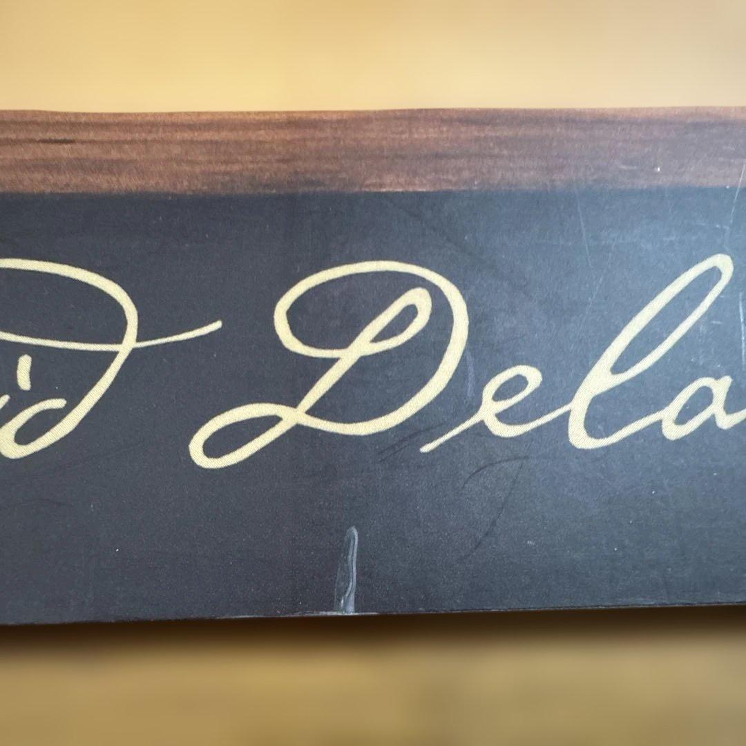 ANIMEROTICS / David Delamare 洋書 画集 アート