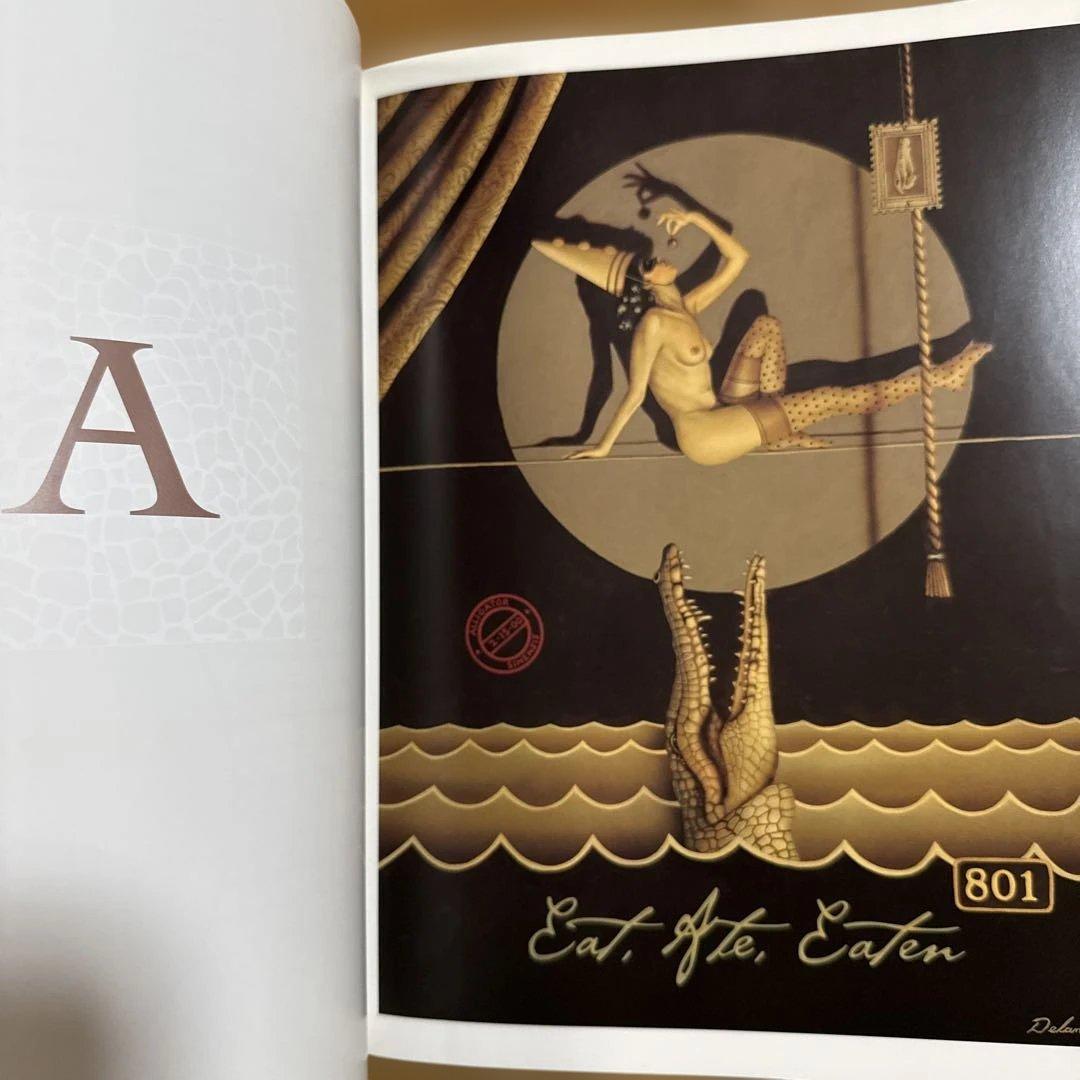 ANIMEROTICS / David Delamare 洋書 画集 アート