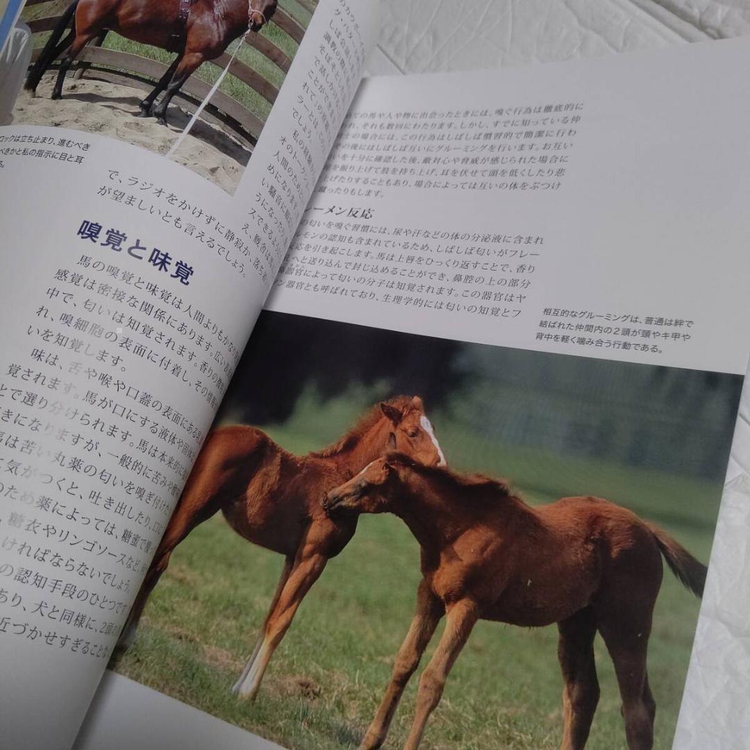 馬のきもち HOW TO THINK LIKE A HORSE チェリー・ヒル