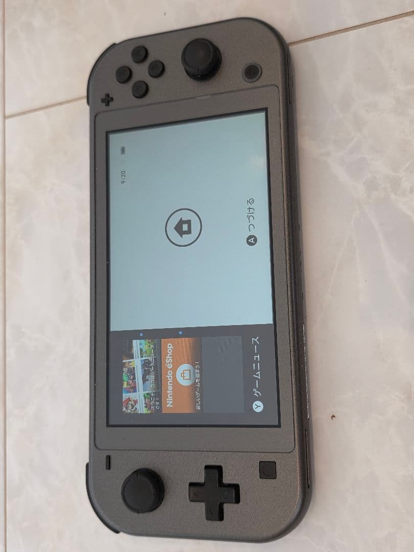 Switch Lite ディアルガ・パルキア