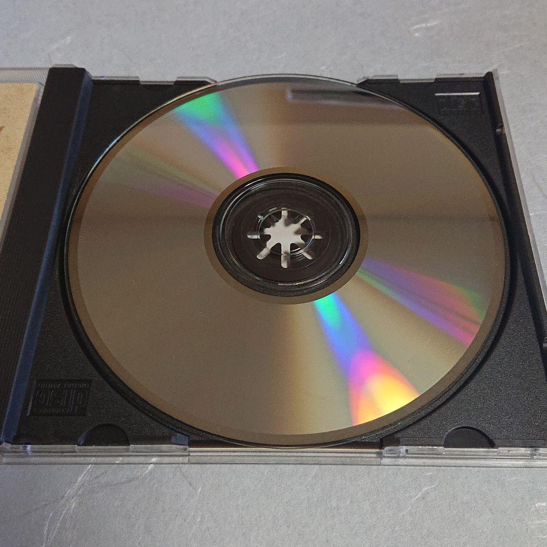 サリーイップ   (秋去秋來)