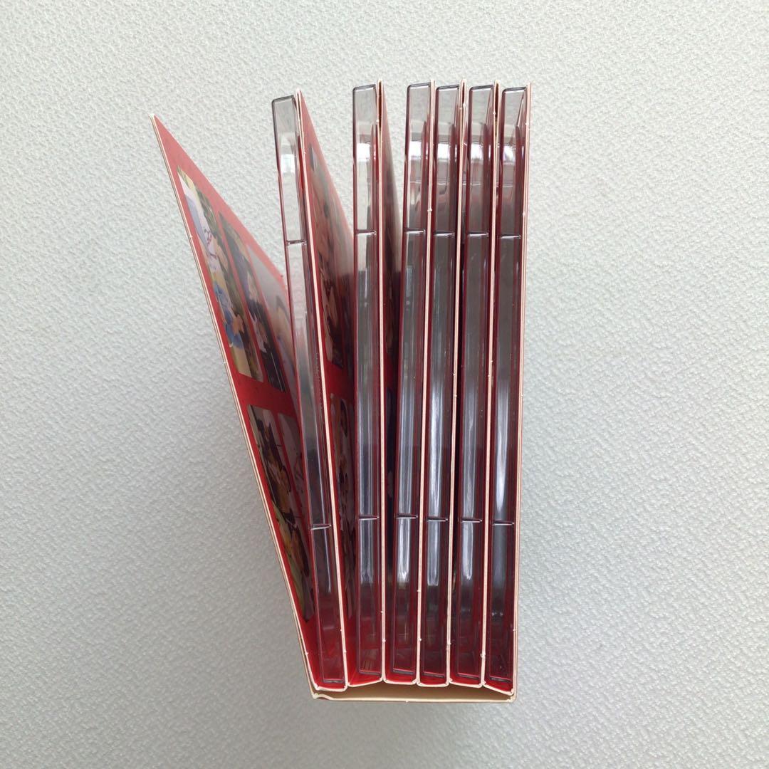 DVD 危険なアネキ DVD-BOX【動作確認済み】