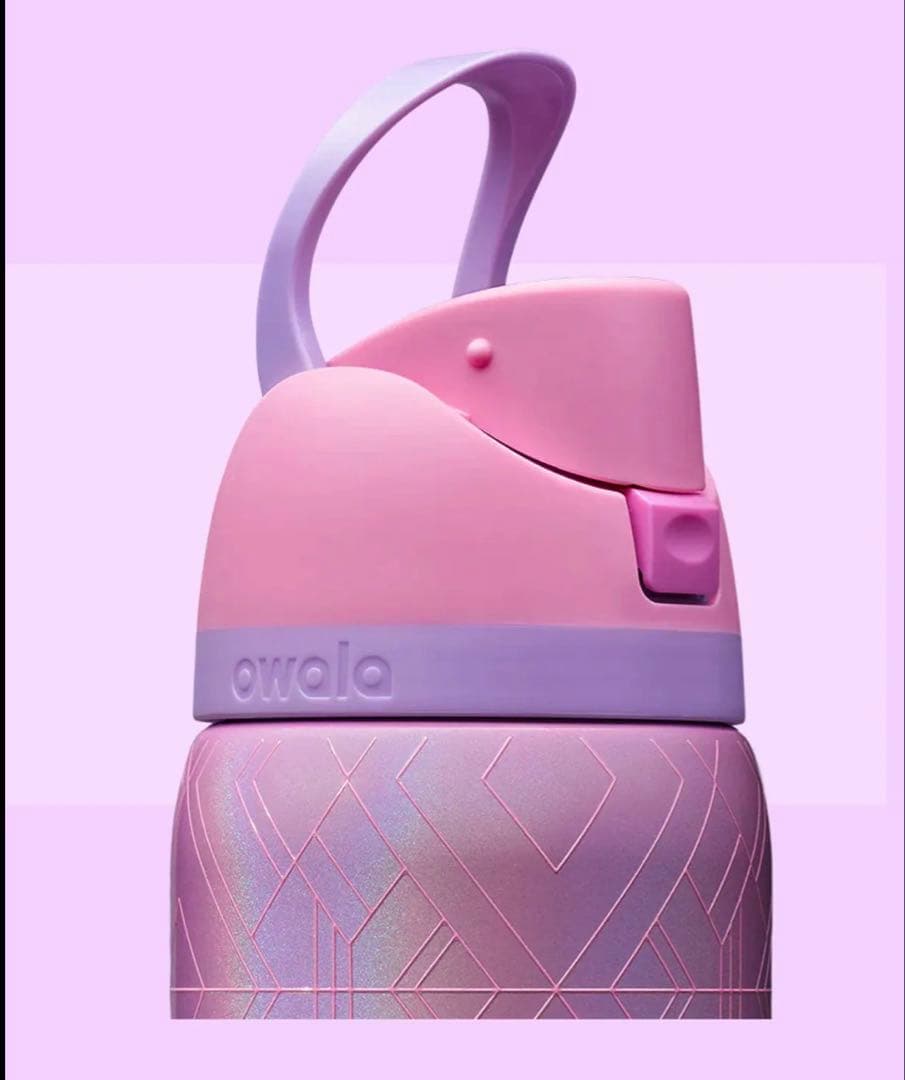 【正規品】新品✴︎owala ウィキッド 32oz 限定タンブラー グリンダ