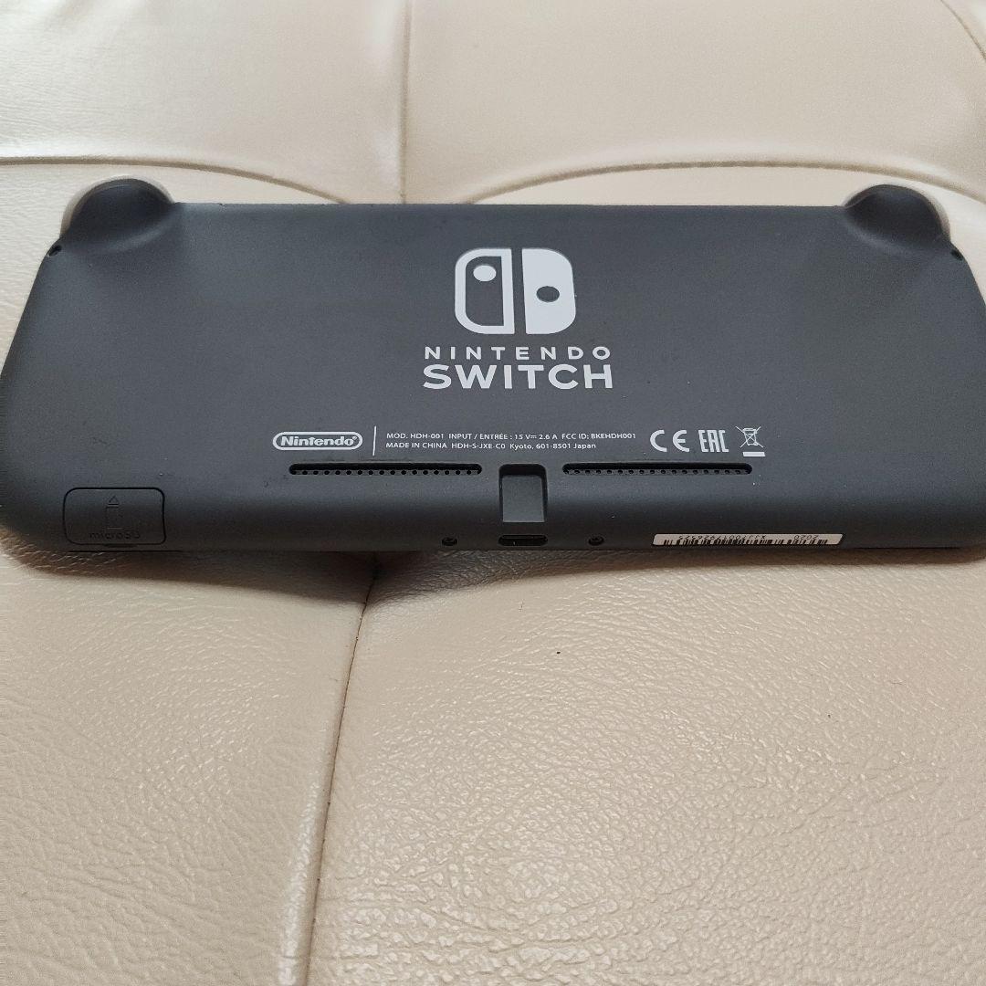 R*G様 ジャンク　Nintendo Switch Lite グレー 本体