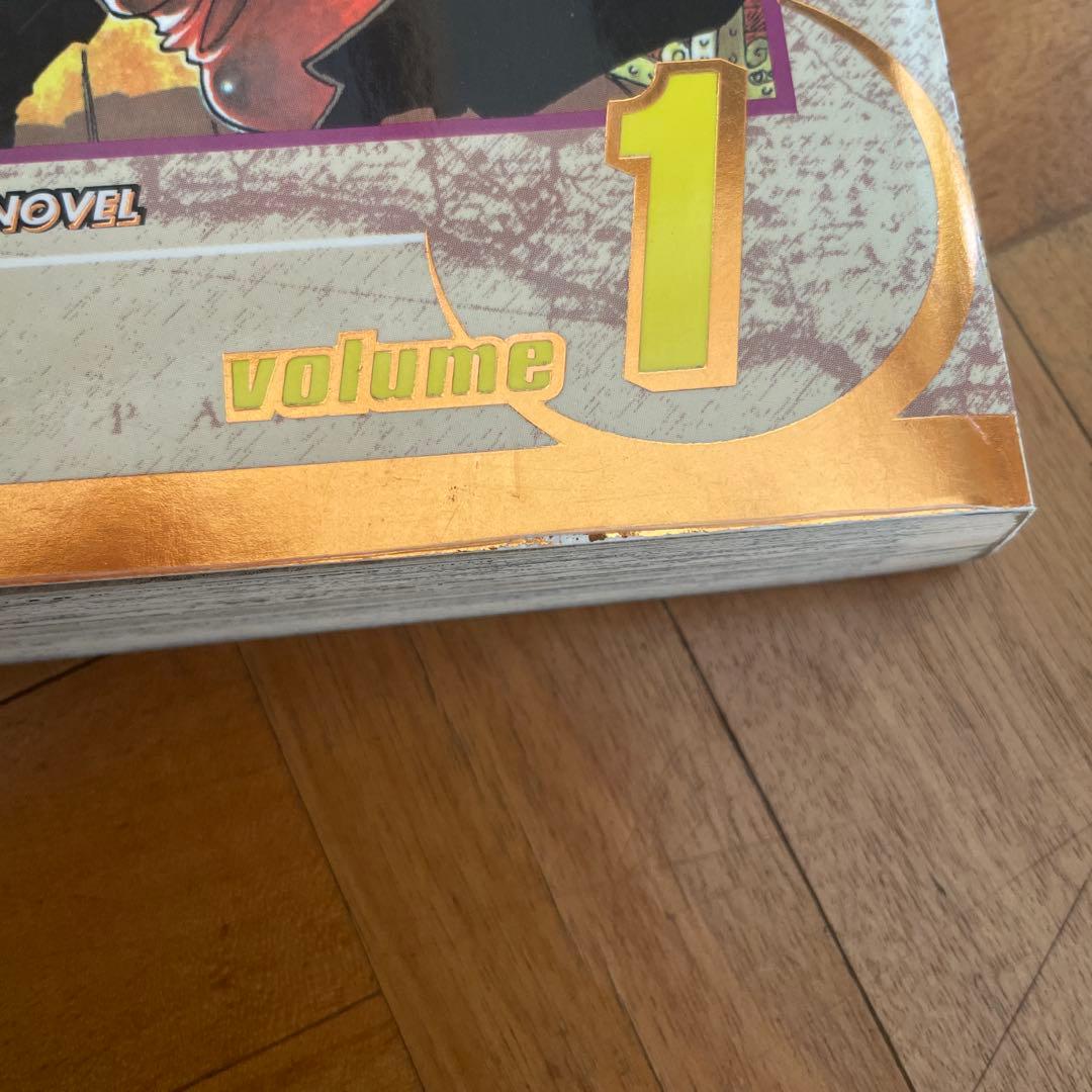 海外版　漫画　英語　ワンピース　ONE PIECE