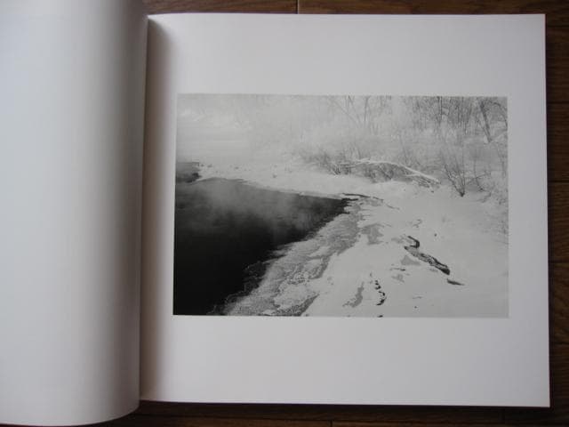 SOME SAY ICE　Alessandra Sanguinetti