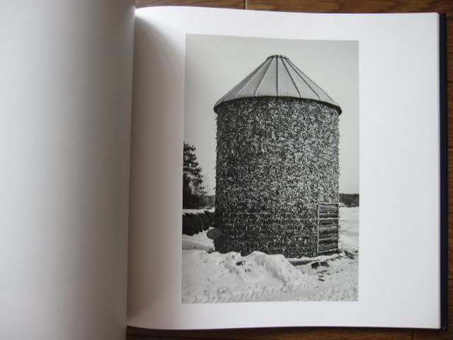 SOME SAY ICE　Alessandra Sanguinetti