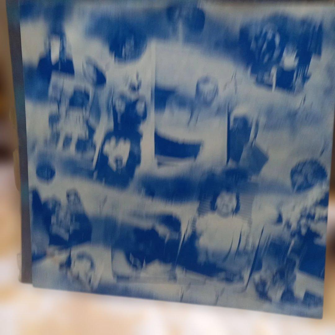 BANANARAMA DEEP SEA SWIMMING LPレコード