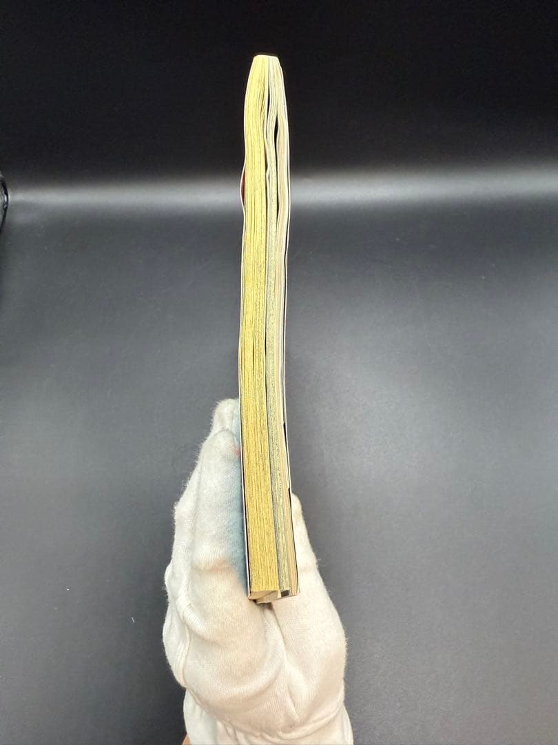 [激レア付属完品] 小学館スペシャル　ポケモンワンダーランド ピカチュウ