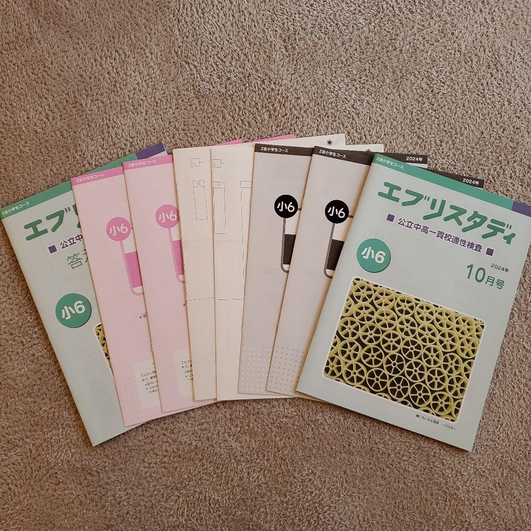 公立中高一貫校 適性検査対策 小6 エブリスタディ Z会
